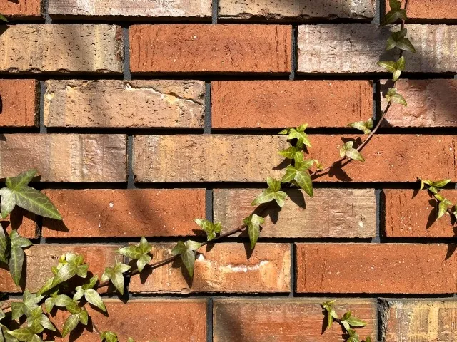 外構工事でレンガブロックを施工したい！おすすめの施工箇所5選